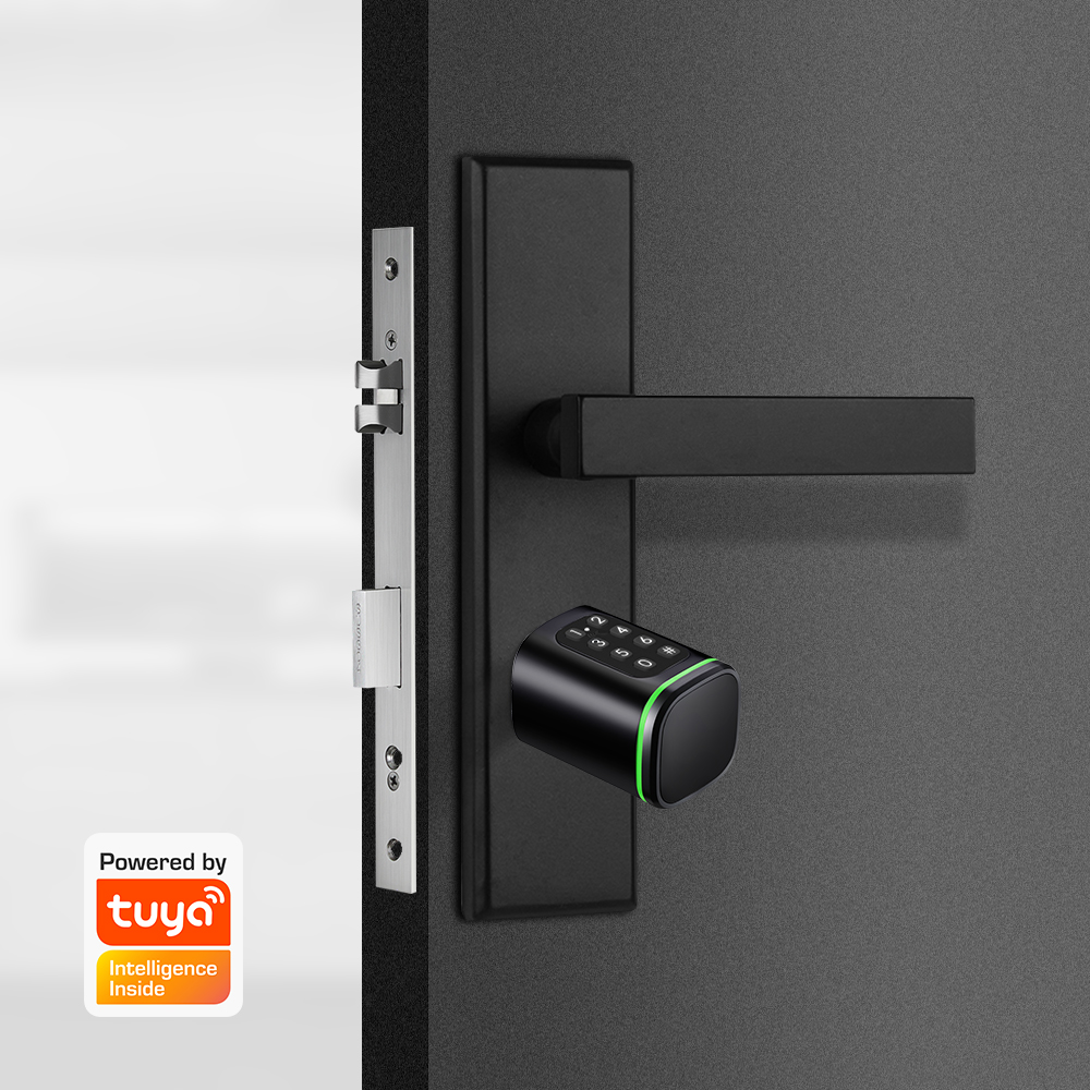 Умный цилиндрический замок Tuy – обзор и цена Home Security Ideas