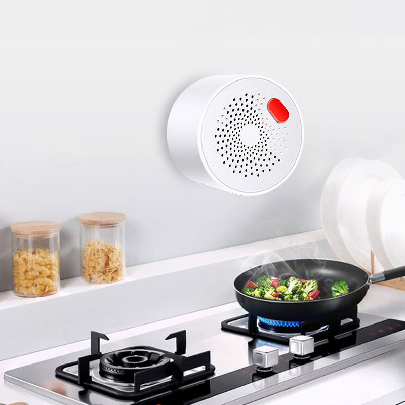 Датчик природного газа Tuya Sm – обзор и цена Home Security Gadgets