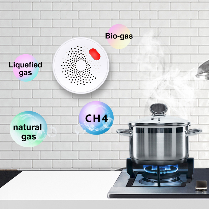 Датчик природного газа Tuya Sm – обзор и цена Home Security Gadgets